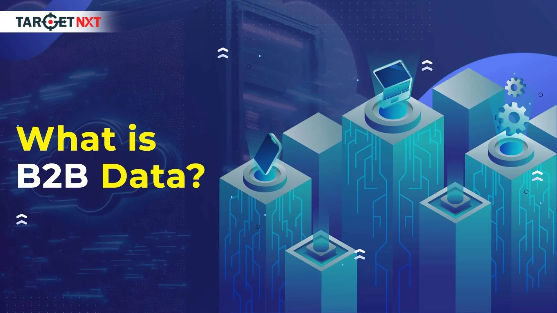 What Is B2B Data? Types Of B2B Data!